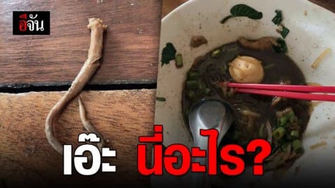 มันคืออะไร อยู่ในก๋วยเตี๋ยวเรือ ?