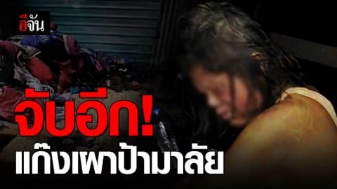 รวบอีก 2 ผู้ต้องหาเผาป้ามาลัย