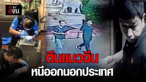 ตีนเเมวจีน หนีออกนอกประเทศ