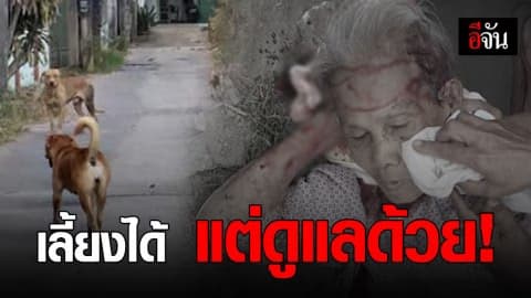 เทศบาลนครขอนแก่น จับหมารุมกัดยายออกจากพื้นที่แล้ว