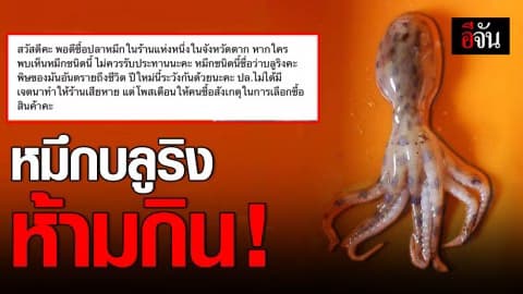 เกือบไม่ได้ฉลองปีใหม่ สาวโพสต์เตือนเจอปลาหมึกบลูริง ห้ามกิน