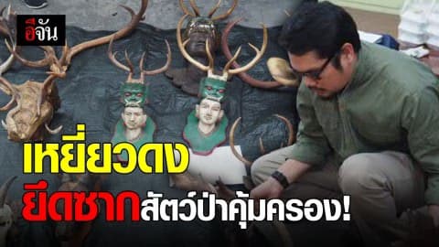 จนท.ชุดเหยี่ยวดง ตรวจยึดซากสัตว์ป่าสงวน และซากสัตว์ป่าคุ้มครอง