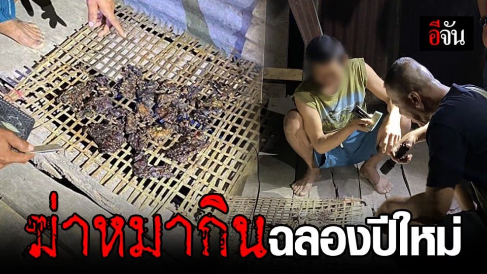 ทำได้ลงคอ เจ้าของเอาหมาให้คนงานฆ่ากิน