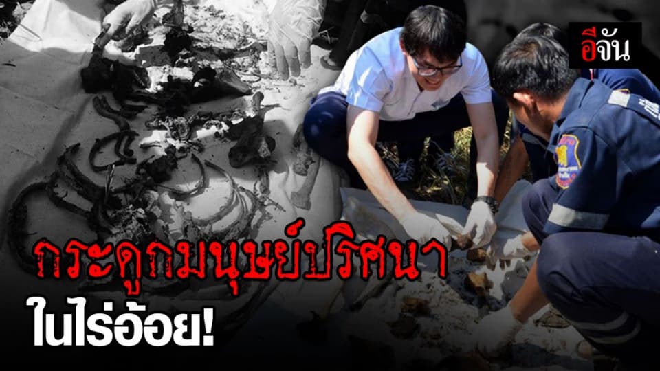 พบซากกระดูกมนุษย์กลางป่าอ้อย