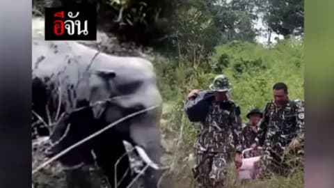 ปฏิบัติการ ช่วยเจ้างาเดียว