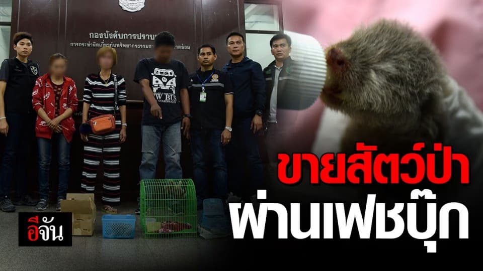 พญาเสือ จับเครือข่ายลอบค้าสัตว์ป่าผ่านเฟซบุ๊ก