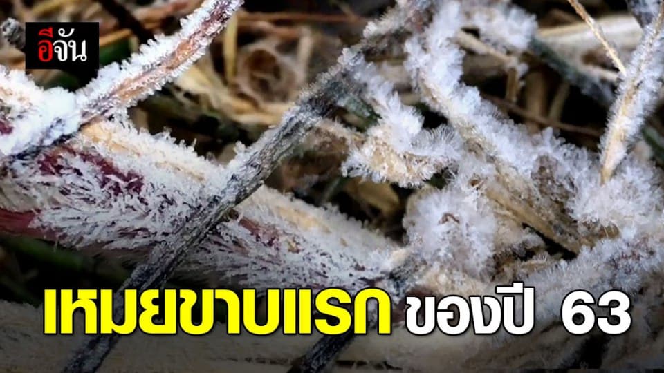 ดอยอินทนนท์ยังคงหนาวจัด!