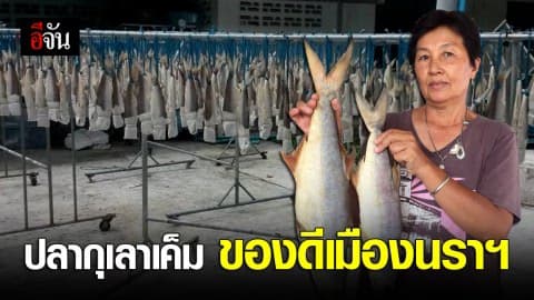 ปลากุเลาเค็ม ของดีเมืองนราฯ