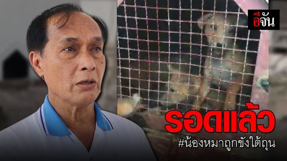 ช่วยเหลือแล้ว ลูกหมาถูกขังใต้ถุนศาลากลางเชียงใหม่