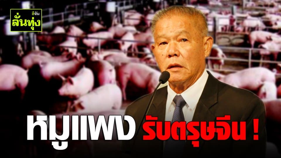 นายกสมาคมหมูฯ แจงปมราคาหมูแพง