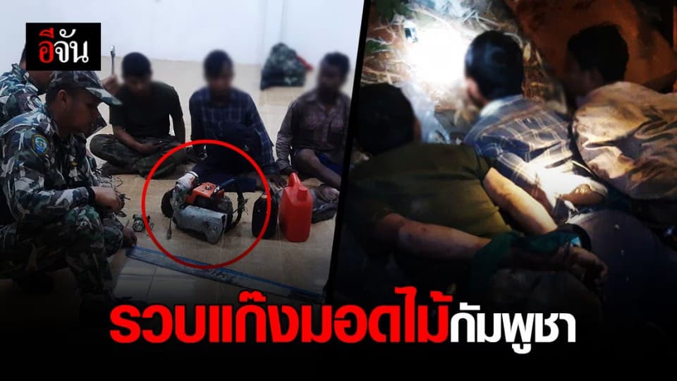 รวบมอดไม้ชาวกัมพูชา ลอบตัดไม้ฝั่งไทย