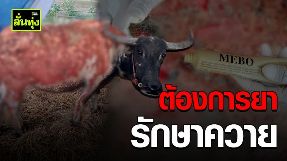 วอนผู้ใจบุญต่อชีวิต