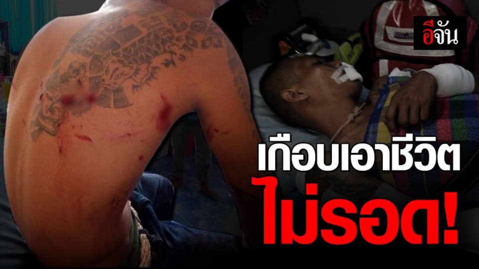 หนุ่มเข้าป่าตามหาสุนัขถูกเสือขย้ำ บาดเจ็บ