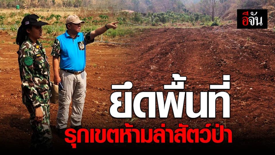 ชุดพญาเสือฯ ตรวจยึดพื้นที่ 3 แปลง รุกเขตห้ามล่าสัตว์ป่า