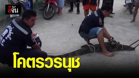 ช่วยด้วย…วรนุชยักษ์ บุกบ้าน