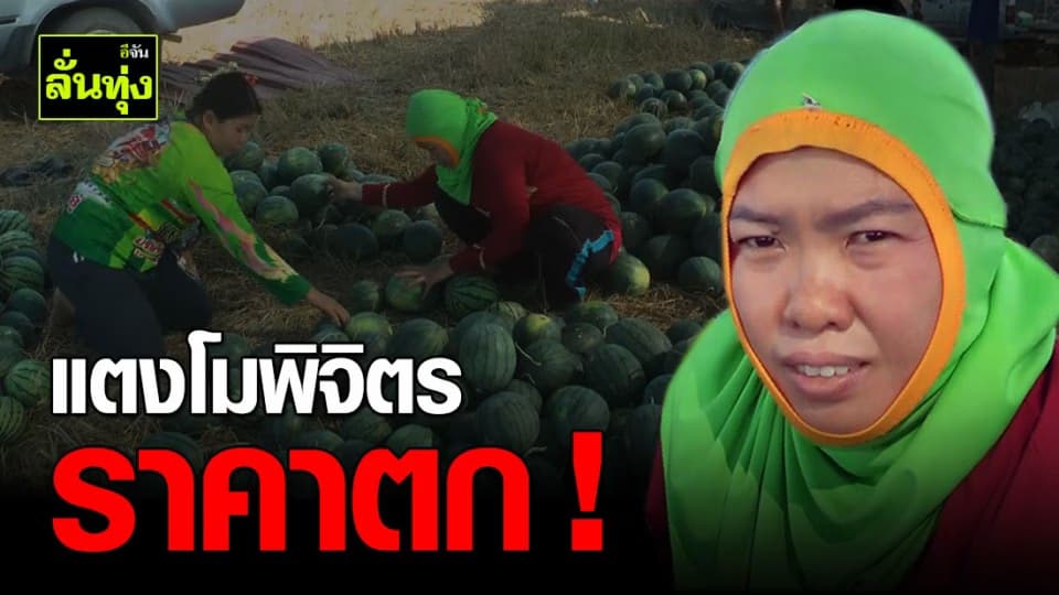 เหลือแค่กิโลฯ 5 บาท