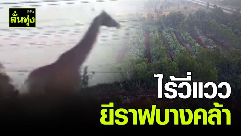เร่งค้นหายีราฟตัวสุดท้าย