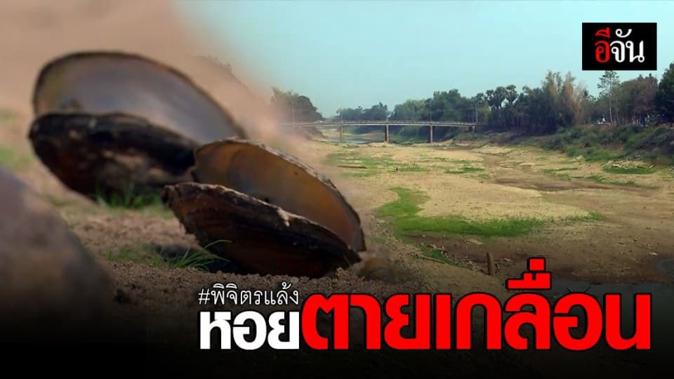 แล้งมาเร็ว! แม่น้ำยมแห้งขอด จนเห็นผืนทราย