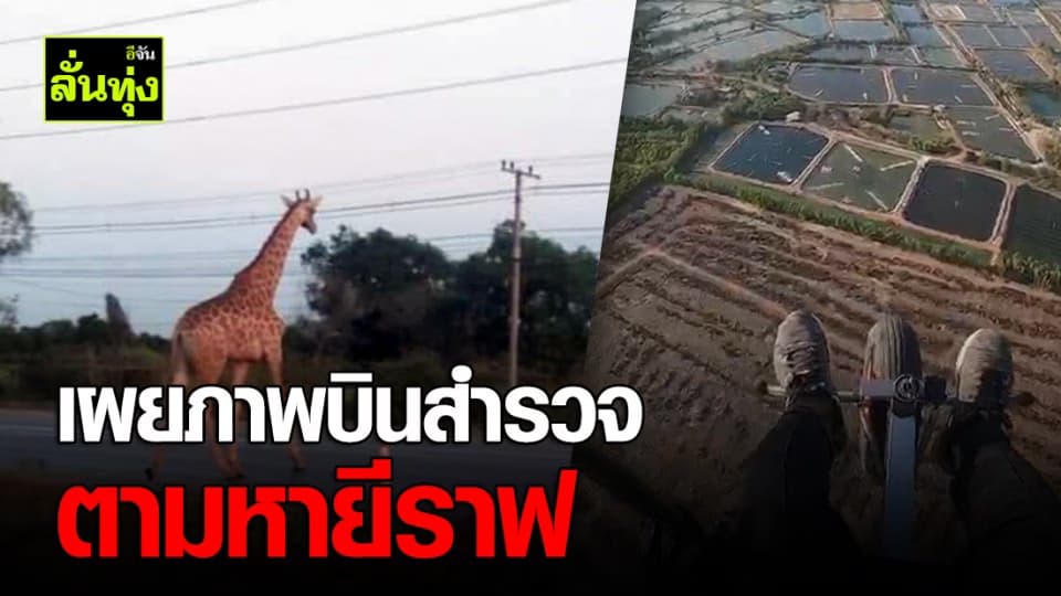 ทีมร่มบินตามหายีราฟ