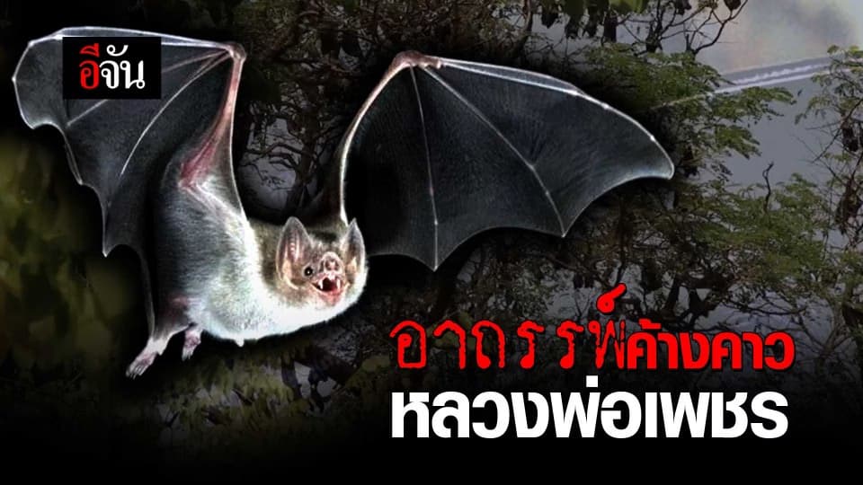 อาถรรพ์ค้างคาวหลวงพ่อเพชร