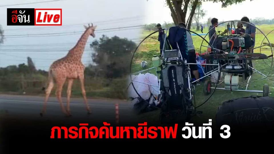 ภารกิจค้นหายีราฟ วันที่ 3