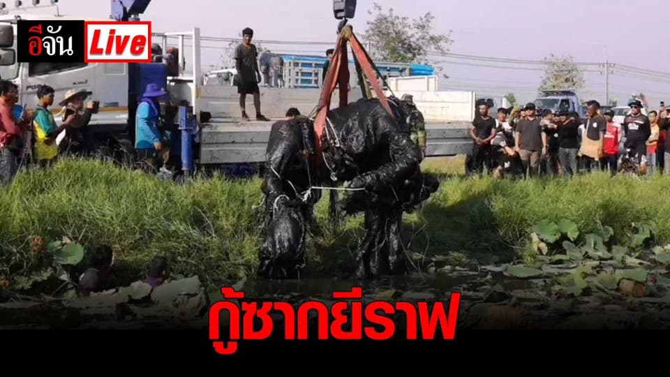 กู้ซากยีราฟ