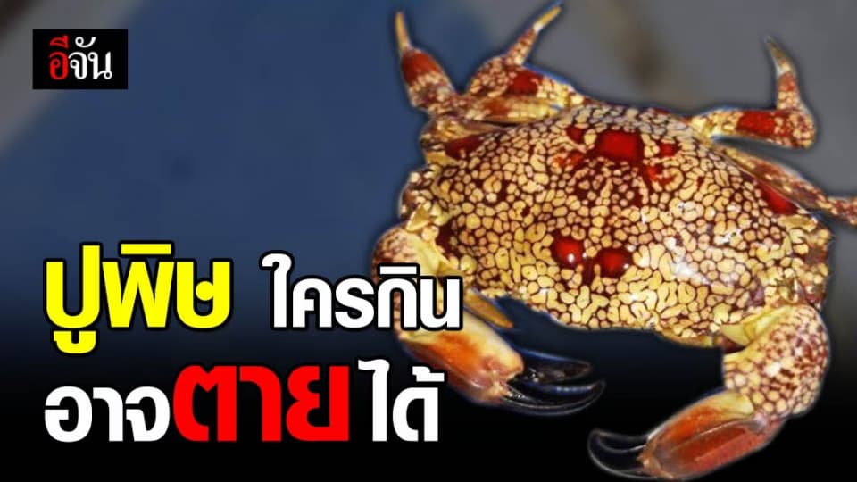 อ.เจษฎาเตือน ปูพิษ อันตรายถึงขั้นเสียชีวิต