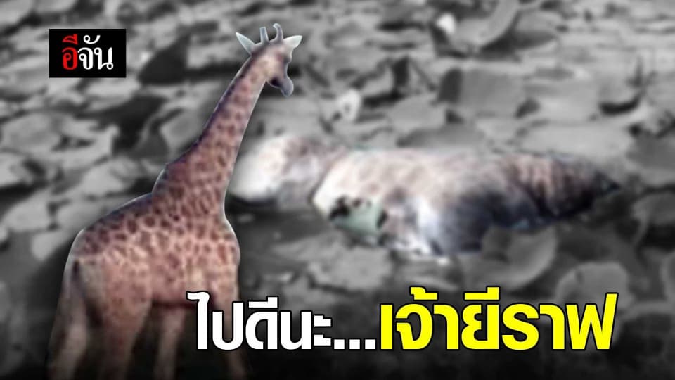 ไปดีนะยีราฟ