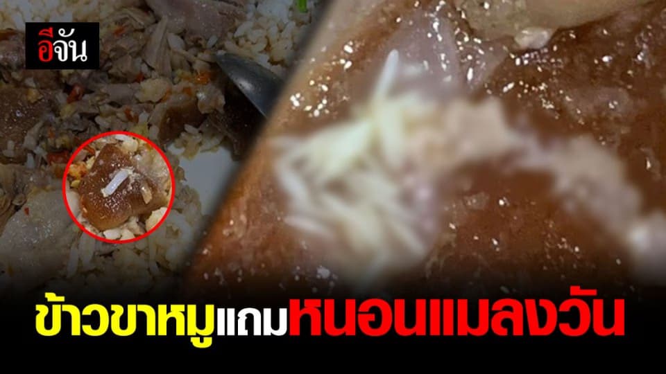 หนุ่มดวงซวย! เจอหนอนแมลงวัน ในข้าวขาหมู ในงานแฟร์ชื่อดัง