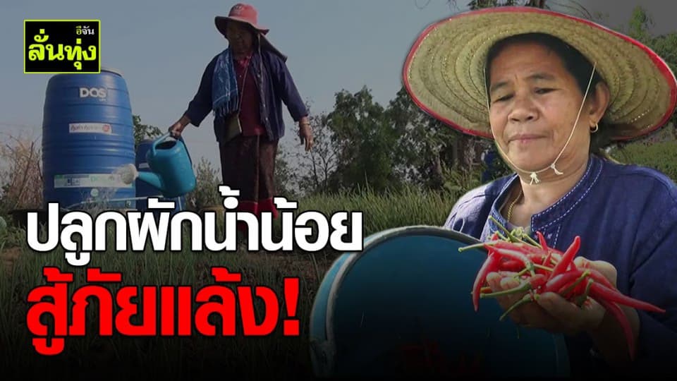 ปลูกพืชผักน้ำน้อย สู้ภัยแล้ง