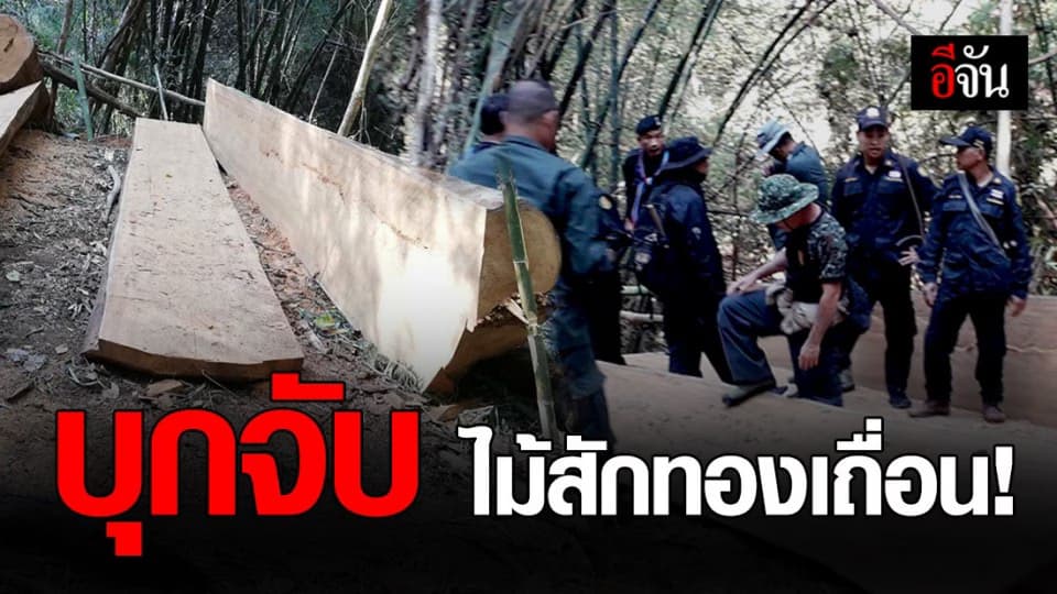 ทหารพรานสนธิกำลัง บุกจับไม้สักทองเถื่อนกลางป่าลึก