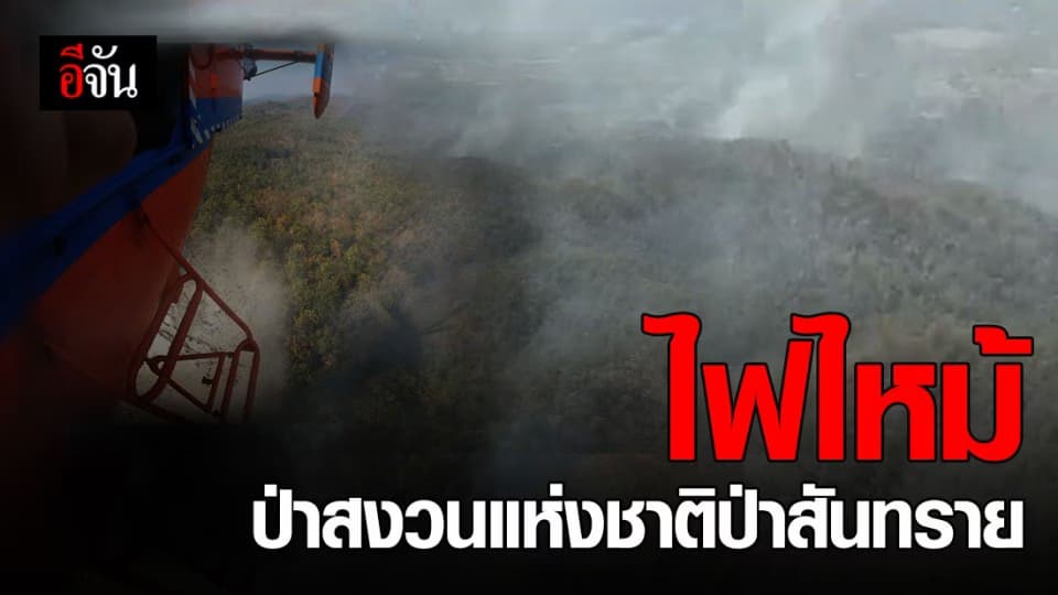 บิน ฮ. ทิ้งน้ำ ดับไฟไหม้ป่าสงวนแห่งชาติป่าสันทราย