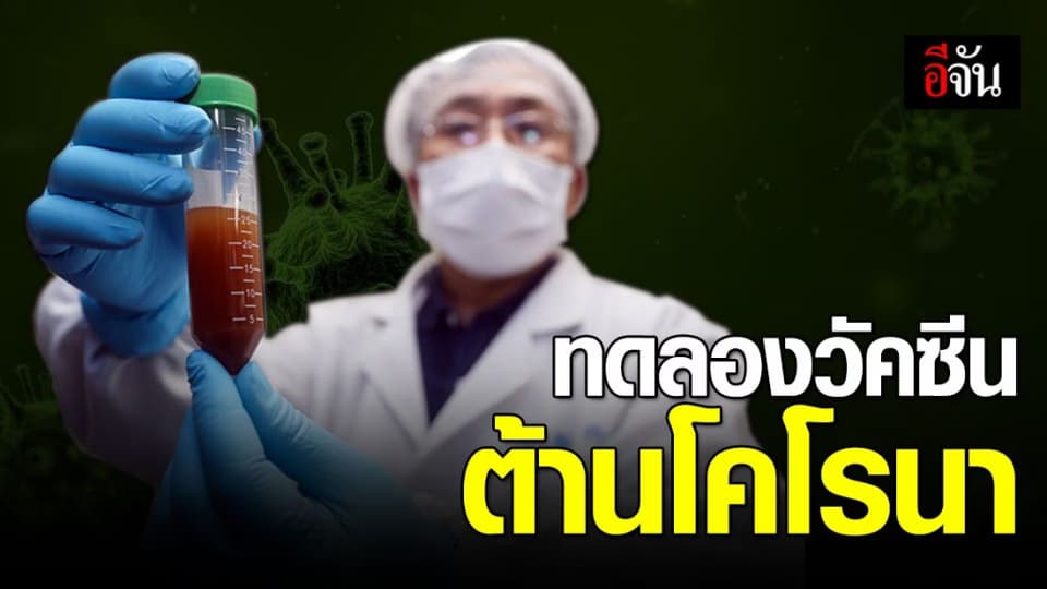 จีนทดลองฉีดวัคซีน ต้านไวรัสโคโรนาในสัตว์