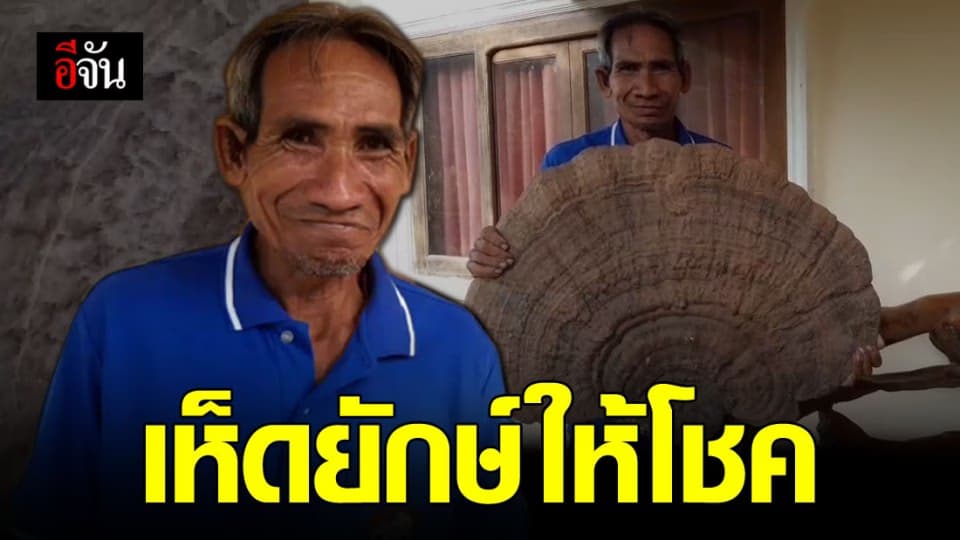 เห็ดยักษ์โผล่กลางป่า ชาวบ้านเชื่อให้โชคลาภ หลังถูกหวยรับทรัพย์