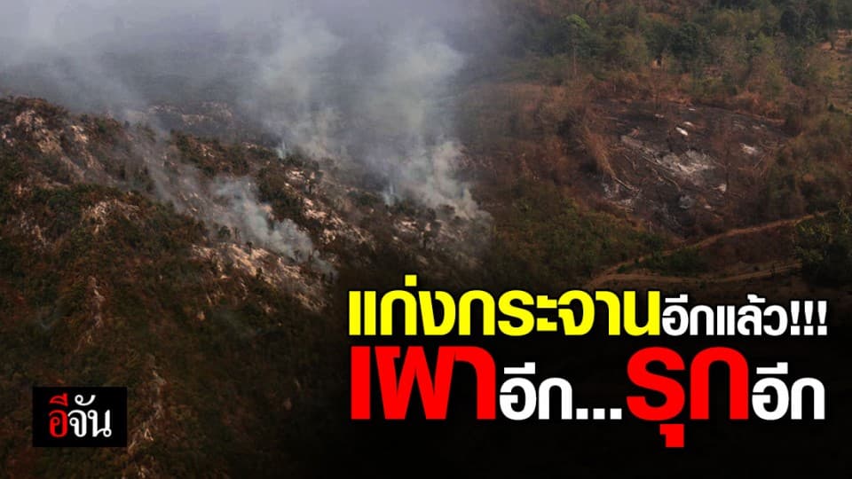 พญาเสือเตรียมลุย หลังพบรุกป่าแก่งกระจาน