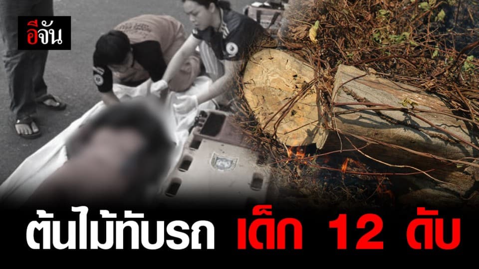 เร่งตัดต้นไม้ที่ถูกไฟไหม้ หลังล้มทับรถ ทำหญิงท้องบาดเจ็บ – เด็กวัย 12 ปี ดับ