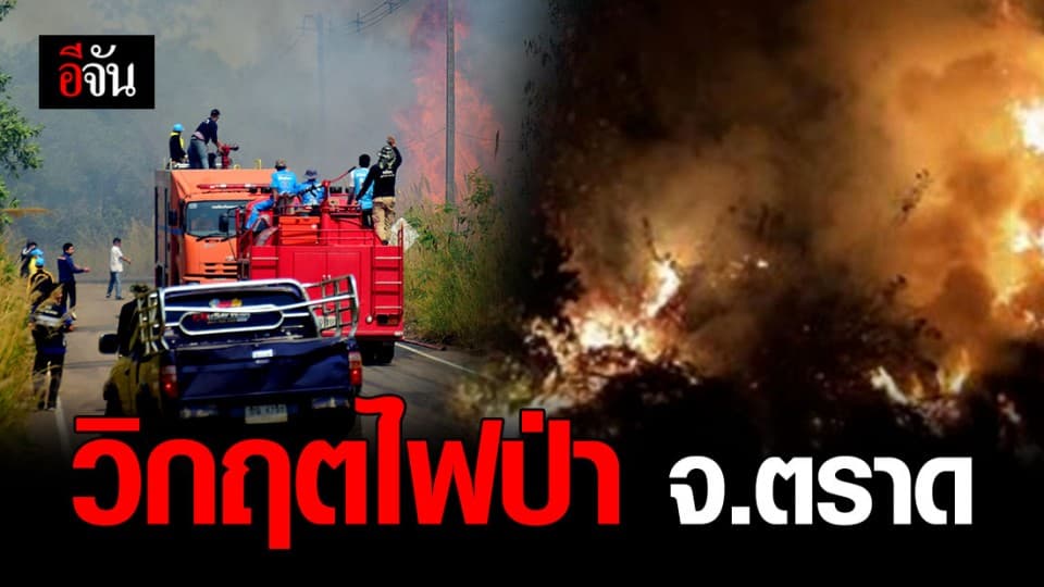 ไฟป่า จ.ตราด ล่าสุดควันกระจายทั่วเมือง ผวจ.ขอเฮลิคอปเตอร์ มาช่วยดับไฟ
