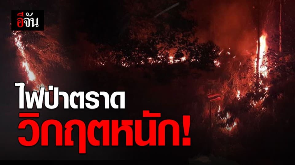 จ.ตราด ประกาศเป็นพื้นที่ประสบสาธารณภัยไฟไหม้ป่า