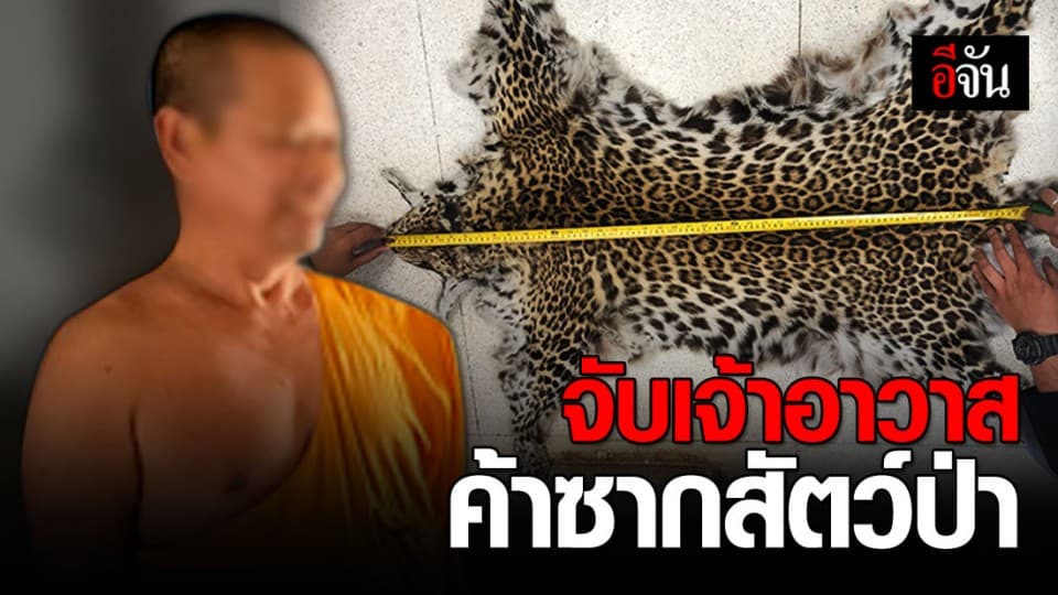 หน่วยพญาเสือจับเจ้าอาวาสค้าซากสัตว์ป่า