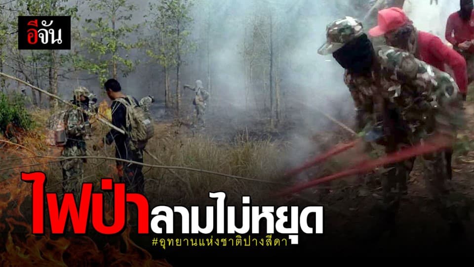 ไฟไหม้ป่าในอุทยานแห่งชาติปางสีดา ยังโหมไม่หยุด เสียหายแล้วกว่า 500 ไร่