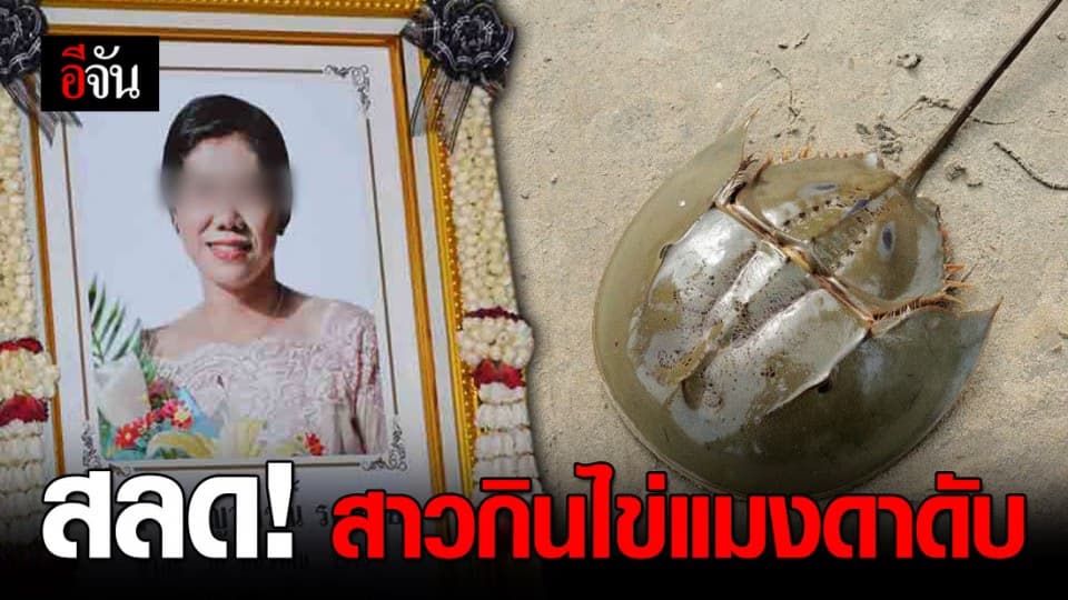 อุทาหรณ์ ไข่แมงดาทะเลพิษ ทำสาววัย 52 ดับ