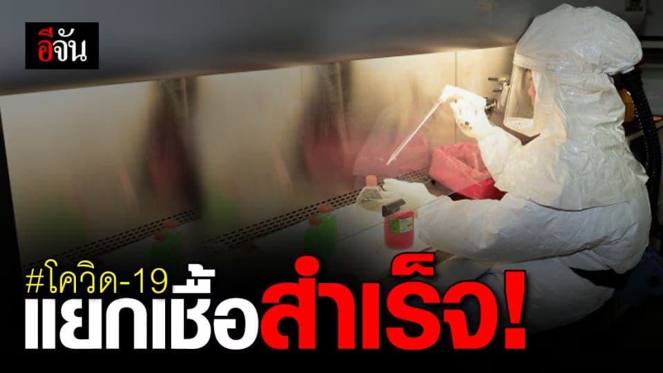 กรมวิทยาศาสตร์การแพทย์ แยกเชื้อโควิด-19 สำเร็จ!