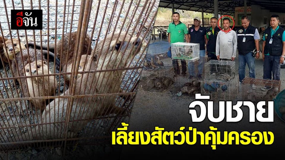 ตำรวจ ปทส. จับชายชาวตรัง เลี้ยงสัตว์ป่าเต็มบ้าน
