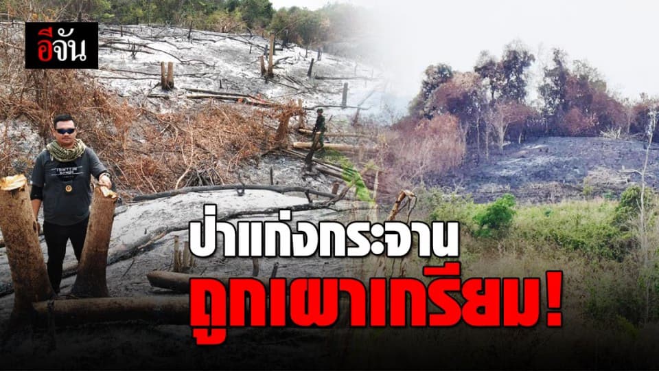 หน่วยพญาเสือ ตะลึง! ป่าแก่งกระจานถูกเผาเกรียม