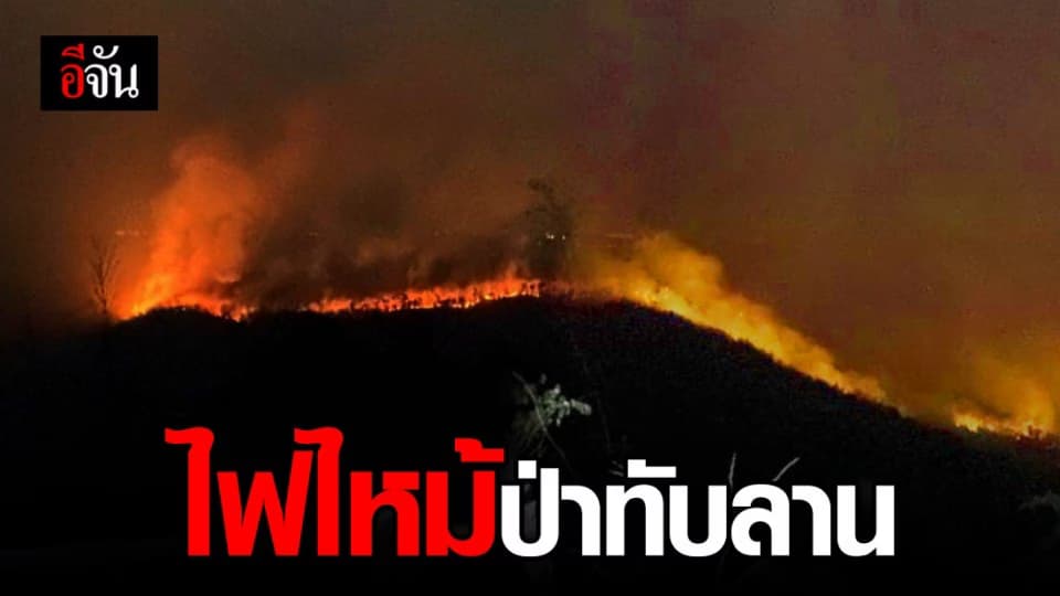 ไฟไหม้ป่าทับลาน จ.ปราจีนบุรี ขยายวงกว้างเข้าเขตสัตว์ชุกชุม