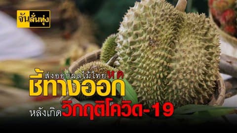 ชี้ทางออกส่งออกผลไม้ไทย ในวิกฤติ โควิด-19