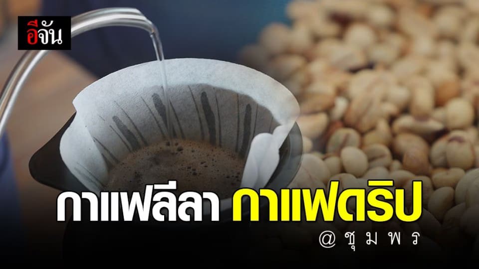 ยกซดกาแฟดริป “โรบัสต้า” ส่งเสริมรายได้ให้ชุมชนที่ชุมพร