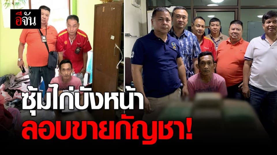 รวบ “เล็ก เรือนทองคำ” เจ้าของซุ้มไก่ ลอบขายกัญชา