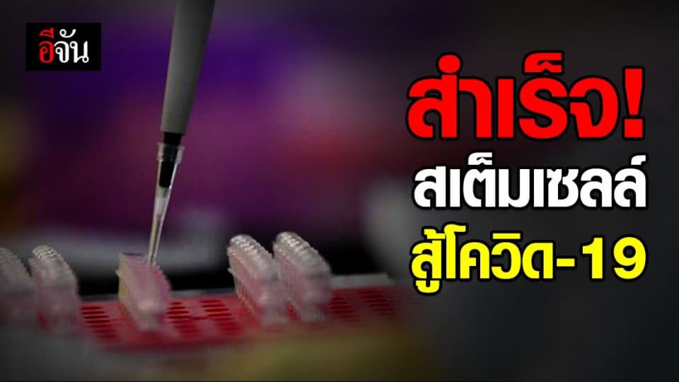 จีนใช้สเต็มเซลล์รักษาผู้ป่วยโควิด-19 อาการวิกฤต ซ่อมปอดจากการอักเสบสำเร็จ