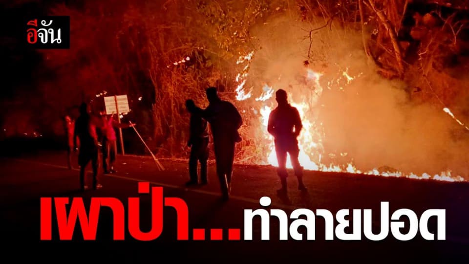 แม่ฮ่องสอนค่าฝุ่นพุ่งกระทบสุขภาพ หลังไฟป่าวิกฤติต่อเนื่อง